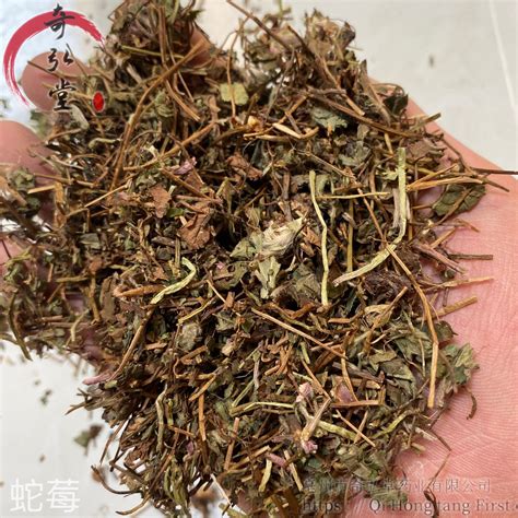 珊瑚草禁忌|珊瑚草的功效与作用及营养价值